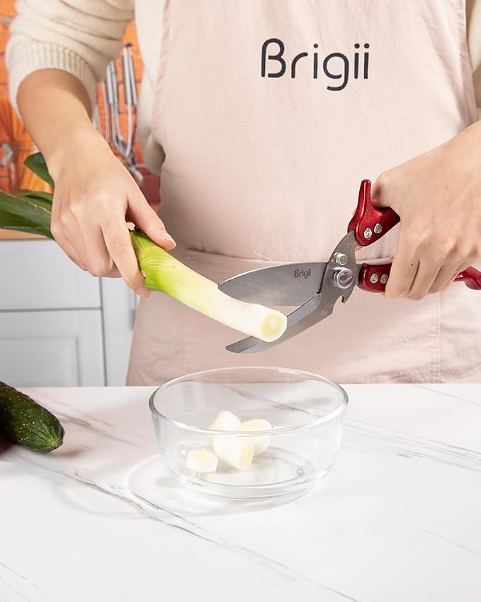 Brigii Kitchen Shears, Heavy Duty Poultry Shears, Detachable Scissors | Detachable blades, 304 stainless steel, built-in spring, safety lock, cuts bone, chicken, turkey, fish, seafood, Red