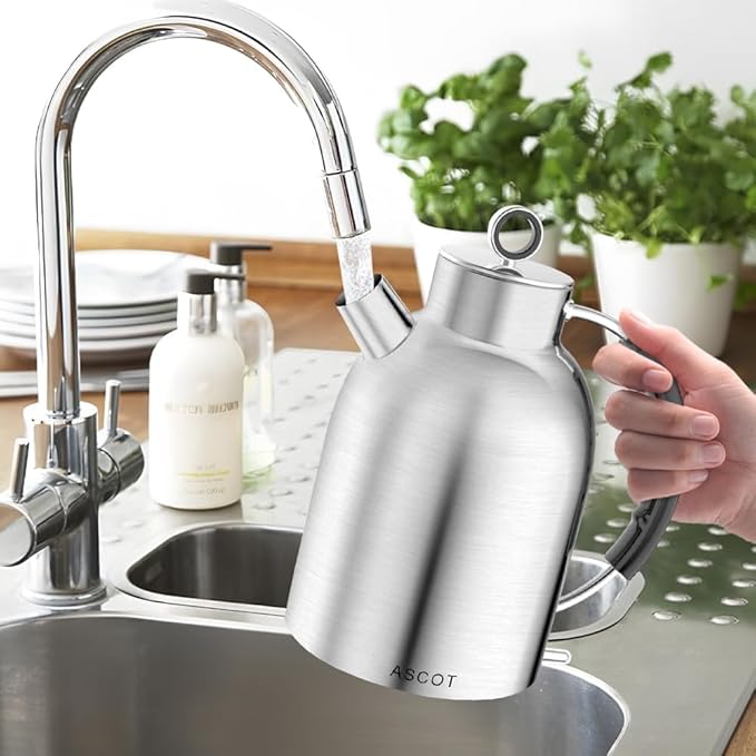 ASCOT Electric Kettle, Electric Tea Kettle Hot Water Kettle Stainless Steel 1.5L 1500W Tea Heater & Boiling Water, Auto Shut-Off and Boil-Dry Protection (Polished Silver)