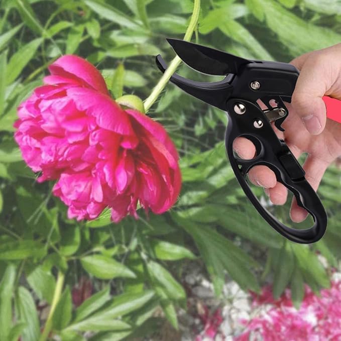 Premium pruning shears for gardening, Work 3 times easier, Pruners heady duty, Sharp garden clippers cuting florist flower, hedge, herb, rose, Indoor live plants, Arthritis weak hand snips