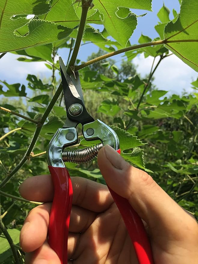 gonicc Micro-Tip Pruning Snips(GPPS-1008), Stainless Steel Garden Shears | Sharp micro-tip stainless steel blades make clean precise cuts for plants, flowers and herbs. Ergonomic non-slip handle.