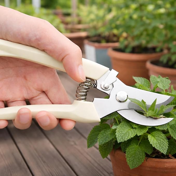 Pruning Shears,Ahoooot 2Pcs Pruning Shears for Gardening,Professional Garden Shears for Flowers, Bonsai and Fruits Picking (1pc Straight & 1pc Curved)