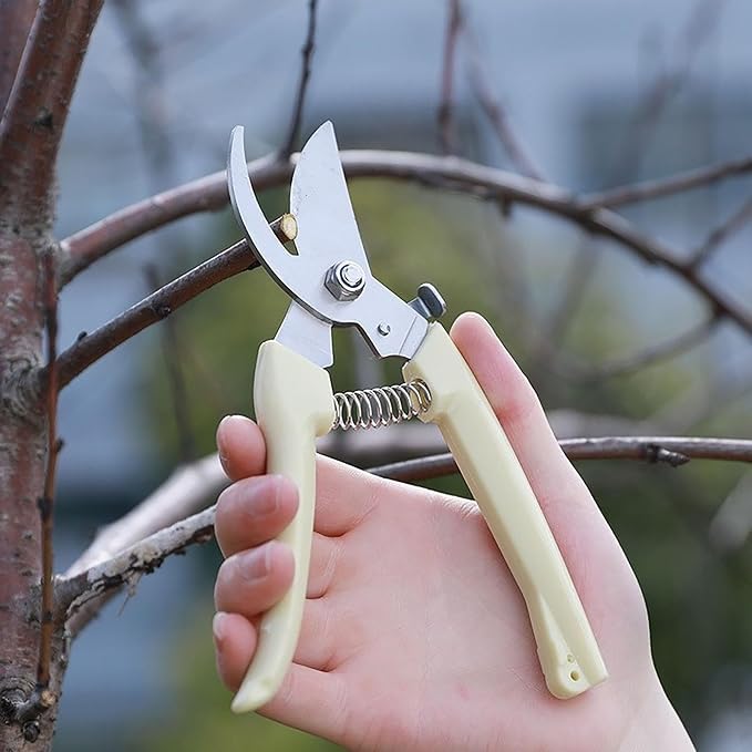 5pcs Garden Flower Shears Pruning Shears 6.9 inches Scissors Heavy Duty Plant Scissors for Cutting Flowers, Trimming Plants, Bonsai, Fruits Picking (White Handle 5pcs)
