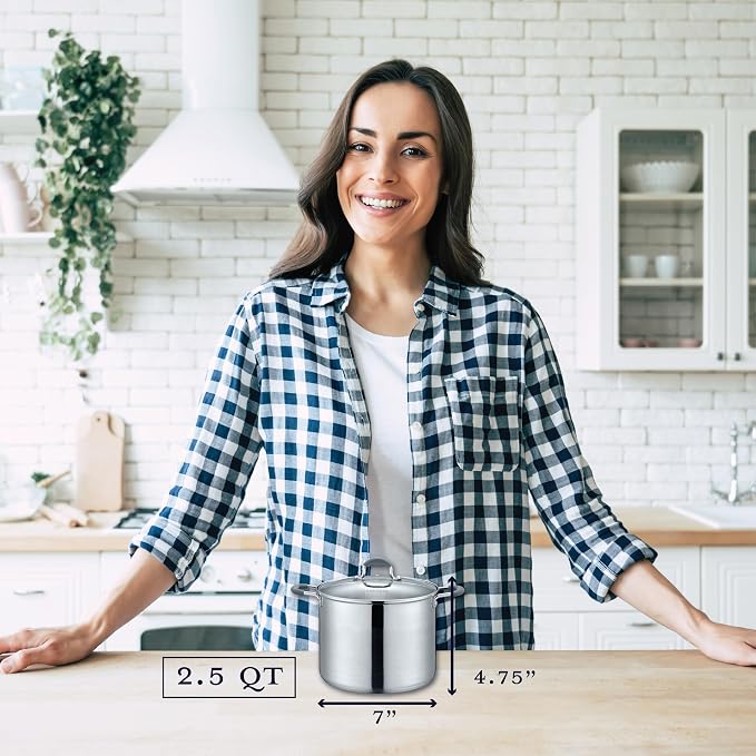 CONCORD Stainless Steel Stock Pot with Glass Lid (Induction Compatible) ((2.5 QT)