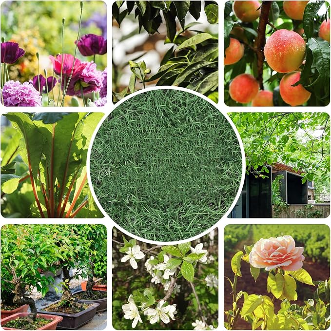 6PCS Premium garden shears, pruning scissors gardening tools, pruners for flower, bushes, rose and fruit tree, use for florist, yard and orchard the plant clippers, sharp steel anvil snips (white, 6)