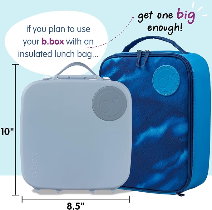 b.box Lunch Box, 8.5 Cup Bento Box for All Ages, Snack Box, Food Containers | Lunch Box Kids + Adults, Lunch Containers, 4 Compartments, Leak Proof, Dishwasher Safe, BPA Free, PFAS Free — Chill Out