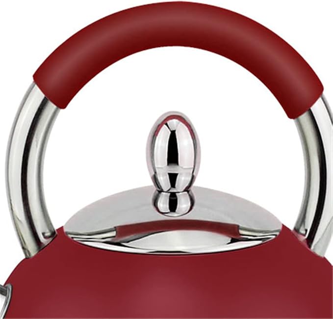 Cute Stainless Steel Teapot 3.0L Large Capacity Whistle Kettle Gas