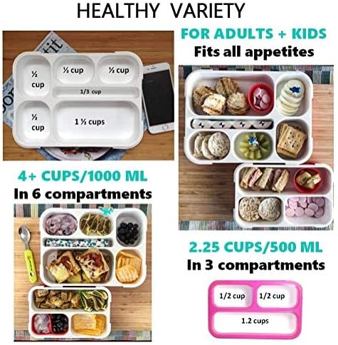 Bento Lunch Box and Snack Container Set for Kids Women | Small & Large Leakproof Boxes for Work School Daycare | Divided Portion Containers for Girls Teens Toddlers, Large and MINI, Pink 2 pack