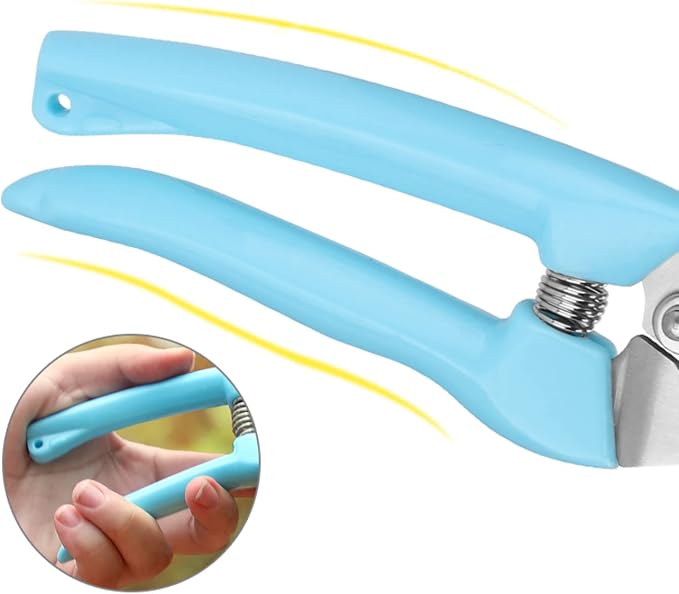 Curve Gardening Scissor with Sharp Stainless Steel Blade Garden Shears for Cutting Flowers Trimming Plants of Yard Florist Flower Rose Herb Hedge Bonsai and Fruits Picking (Green Handle)