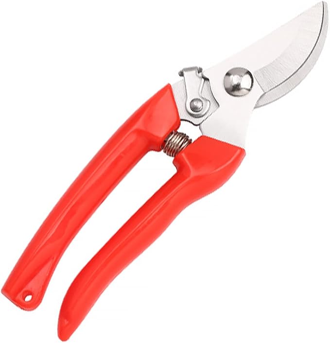 Curve Gardening Scissor with Sharp Stainless Steel Blade Garden Shears for Cutting Flowers Trimming Plants of Yard Florist Flower Rose Herb Hedge Bonsai and Fruits Picking (Red Handle)