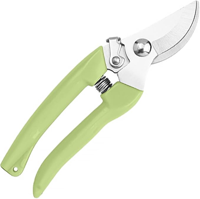 Curve Gardening Scissor with Sharp Stainless Steel Blade Garden Shears for Cutting Flowers Trimming Plants of Yard Florist Flower Rose Herb Hedge Bonsai and Fruits Picking (Green Handle)