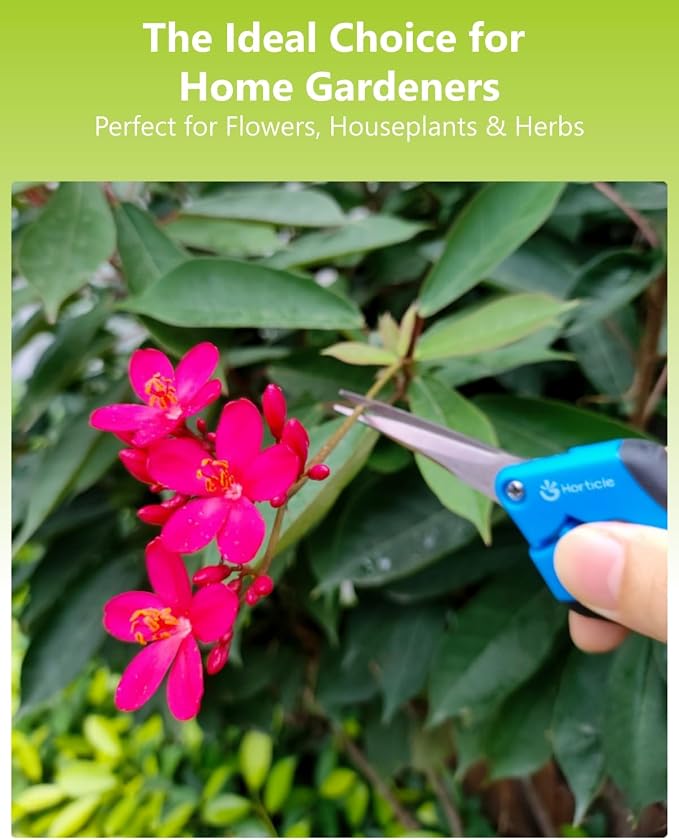 2-Pack 6.5" Garden Scissors Pruning Shears for Detailed Gardening | Ultra-Sharp Stainless Steel Precision Trimming Snips – Micro-Tip Straight & Curved Blades for Flowers & Delicate Plant Care