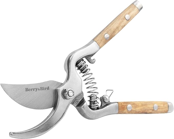 Berry&Bird 8'' Bypass Pruning Shears with Wooden Handle, Curved Blade Garden Hand Pruner, Stainless Steel Scissors Ultra Sharp Clippers for Gardening Trimming Cutting Bonsai Plant Flower & Picking