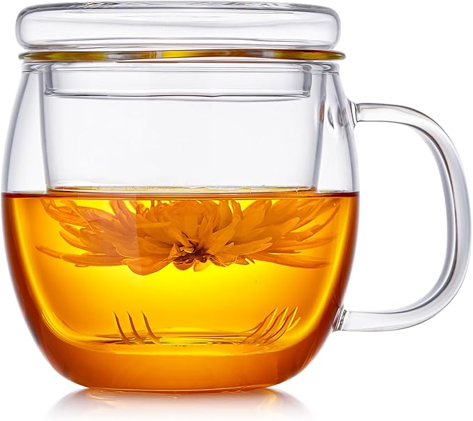 DOPUDO Glass Tea Cup with Infuser and Lid, 17oz/500ml Large Borosilicate Teacup for Loose Leaf Tea, Blooming Tea
