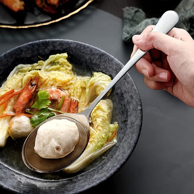 Large Serving Spoons,AOOSY 2 Pcs-9.8 Inches Stainless Steel Serving Spoon | for Buffet, Parties, Catering,Solid Serving Utensils Serving Utensil,Dishwasher Safe