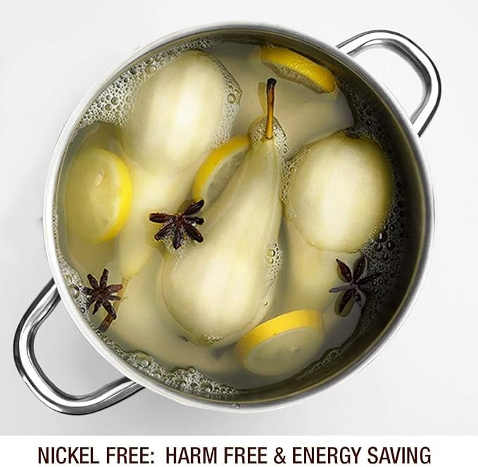 HOMICHEF Stock Pot 6 Quart Nickel Free Stainless Steel - 6 Qt Soup Pot With Lid and Handle - Small Cooking Pot 6 Quart - Ideal for Soup, Sauce, and Induction Cooking