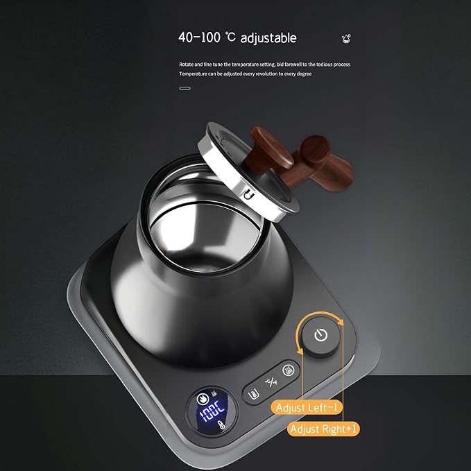 Gooseneck Electric Kettle, Black, 0.9L | ±1℉ Temperature Control, 304 Stainless Steel, Ultra-Quiet, Auto Boil Detection, 8 Safety Protections & Memory Function
