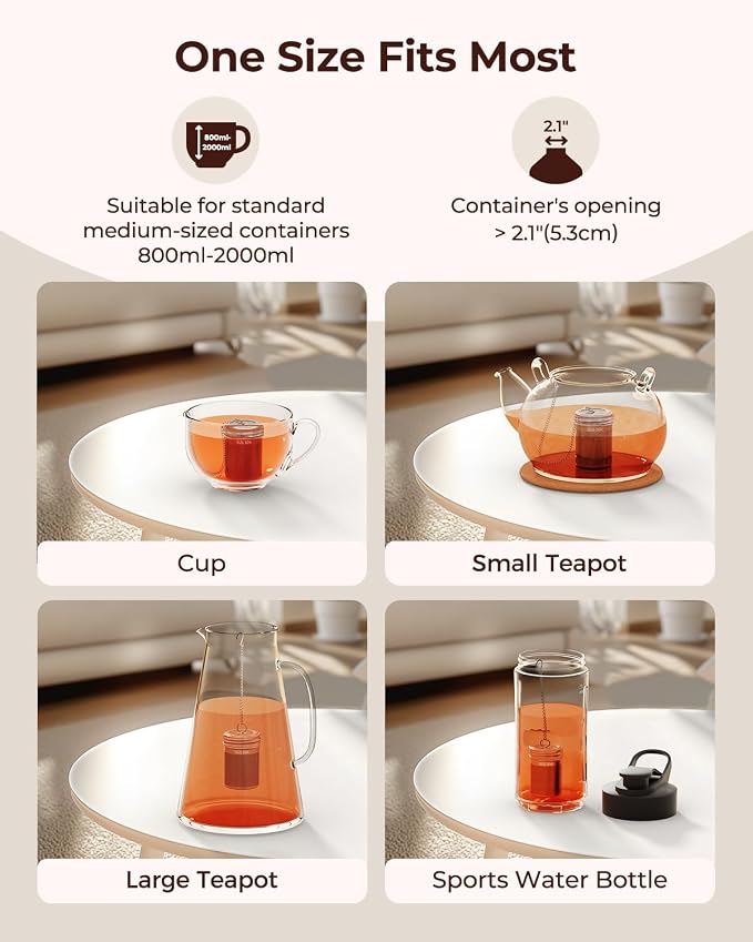 2 Pack Reinmoson Large Tea Infuser for Loose Tea & Spice Ball for Cooking | 304 Stainless Steel Extra Fine Mesh Large Tea Strainer, 2.1” x 2.9” Loose Leaf Tea Steeper for Black Tea, Rooibos, etc