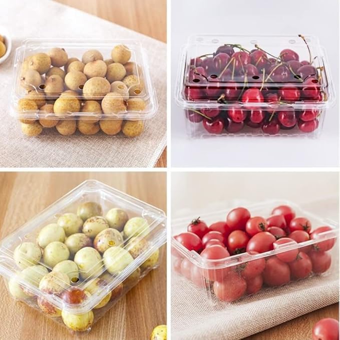 Hewnda 20 Pack Clear Plastic Berry Clamshell Vented Container | for blueberry,Cherry Tomatoes