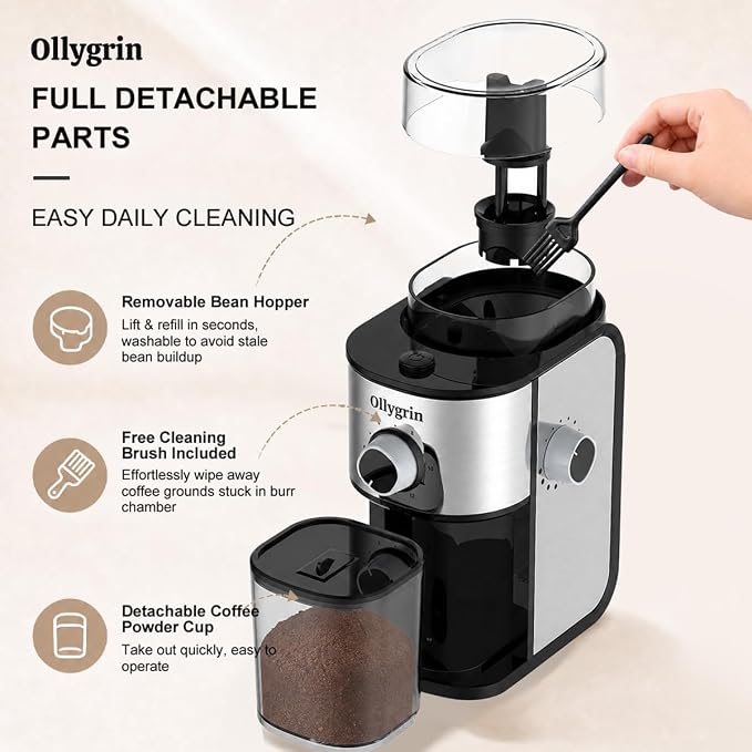 Flat Burr Coffee Grinder Electric, Coffee Grinder with 14 Grinding Levels, Burr Mill Grinder with Large Bean Hopper, Compact Design for Home&Office, Brushed Silver