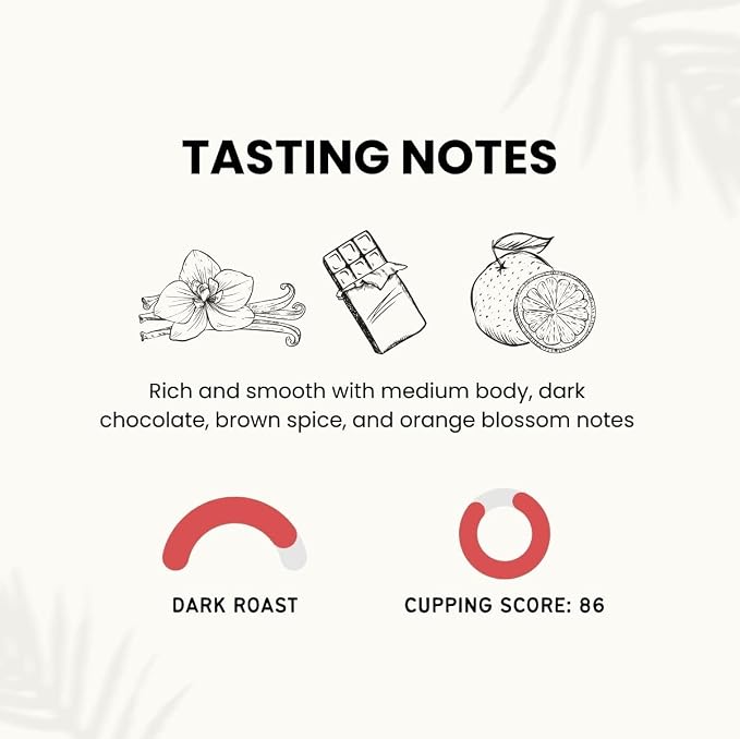 Canopy Point Coffee Dark Roast | 5lb Bulk Whole Bean for smooth Espresso, Cold Brew, French Press, Moka Pot, Pour Over | Non-Toxic Air Roasted French Roast (Whole Bean, 5lbs)