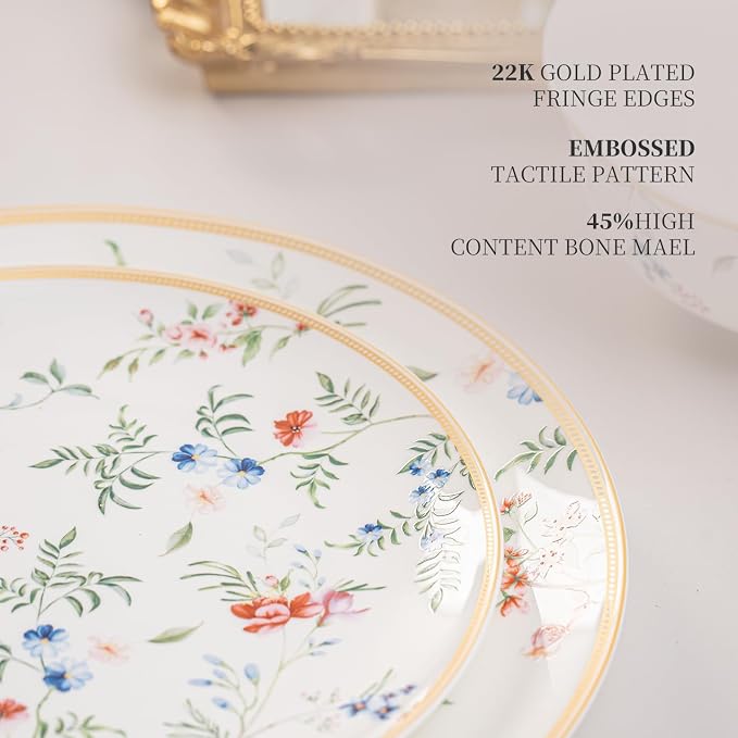 FHGNYSM Bone China Plates and Bowels,12-Pieces Dinnerware Sets, Highly Chip and Crack Resistant, Dishwasher & Microwave Safe Dishes Set, Dense and Translucence