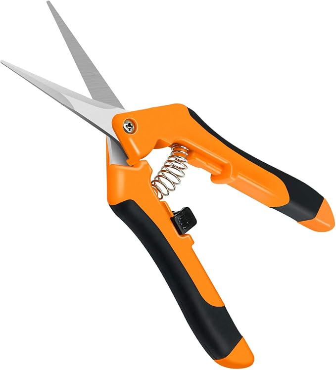 iPower GLPRNR6OR 6.5 Inch Gardening Pruning Shears Hand Scissors with Straight Stainless Steel Blades for Trimming Herbs, Plants, Hydroponic, 1-Pack, Orange