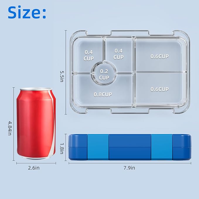 Bento Lunch Box for Kids, 5/6 Compartments, Shiny Blue and Clear | Dishwasher Safe Back to School Snack Bento Lunch Containers Boxes, Ideal Portion Sizes for On-the-Go Meal, Ages 3+, School