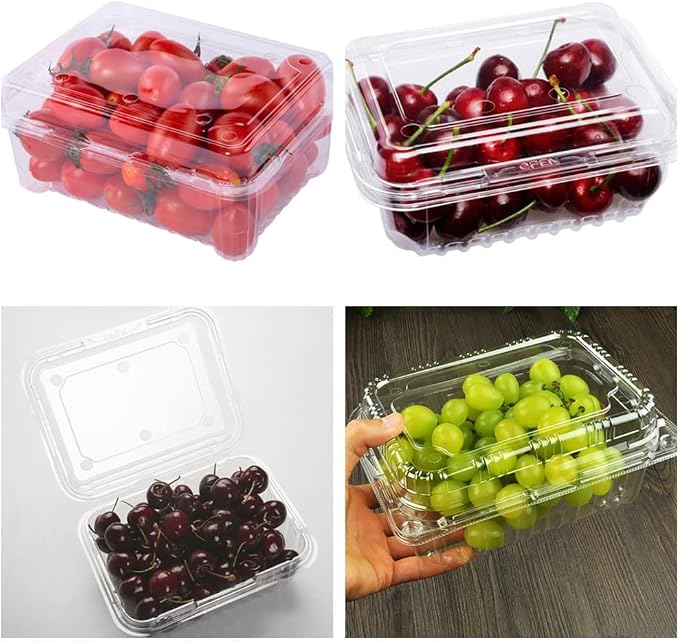 Hewnda 20 Pack Clear Plastic Berry Clamshell Vented Container | for blueberry,Cherry Tomatoes