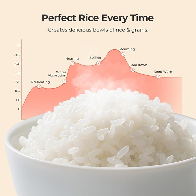 Narcissus Rice Cooker with Removable PFAS-Free Nonstick Pot, 3.5-Cup Capacity for 1-3 People, Multifunctional for Rice, Oatmeal, Quinoa, Slow Cook, Steam, Can Steam & Cook Simultaneously, Rice White
