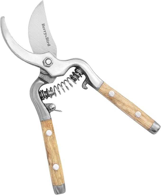 Berry&Bird 8'' Bypass Pruning Shears with Wooden Handle, Curved Blade Garden Hand Pruner, Stainless Steel Scissors Ultra Sharp Clippers for Gardening Trimming Cutting Bonsai Plant Flower & Picking