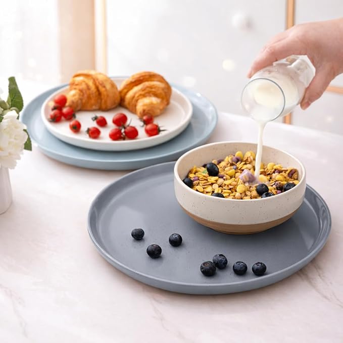 AmorArc Dinnerware Sets for 4, 12 Pieces Ceramic Plates and Bowls Set | Scratch Resistant Stoneware Dishes Set, Dishwasher & Microwave Safe, Multi-Color