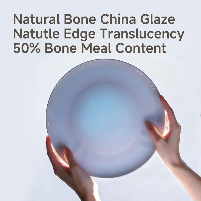 24-Piece Bone China Dinnerware Set for 8, Misty Blue | Lightweight Porcelain | Round Plates & Bowls | Scratch Resistant | Durable Ceramic | Microwave & Dishwasher Safe