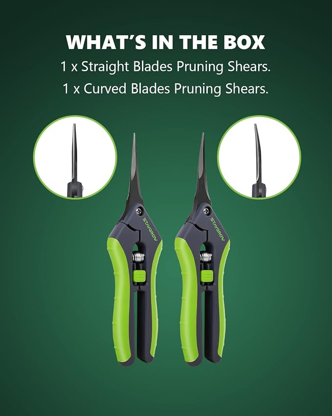 2pcs 6.5" Pruning Shears for Gardening Ultra Sharp Garden Scissors | Plant Snips for Precise Cuts, Stainless Steel Bonsai Clippers with Spring Loaded, Garden Shears (1pc Straight & 1pc Curved)