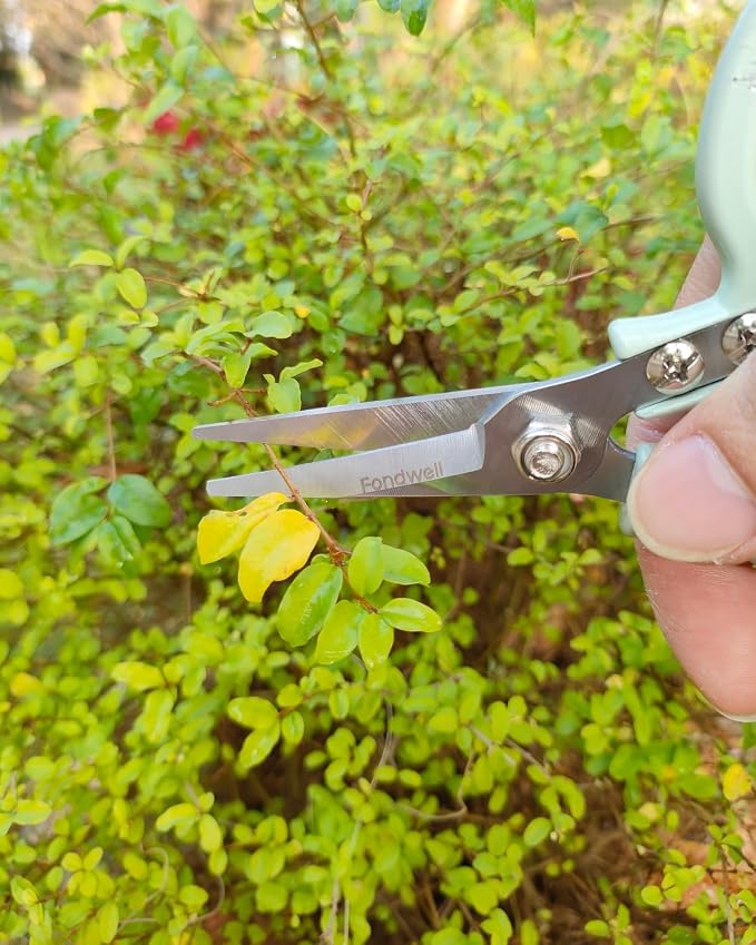 Fondwell 6" Small Pruning Shears Garden Scissors for Indoor Plants Trimming | 1-Pack Garden Snips, Ultra-Sharp Micro-Tip Straight Blades, Fatigue-Free - Best for Delicate Cutting Flower Stems Herbs Buds