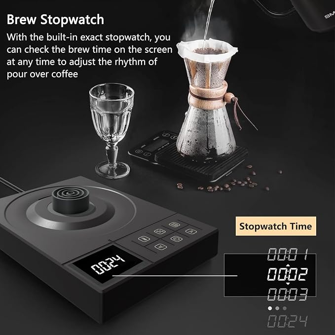 Gooseneck Electric Kettle with ±1℉ Temperature Control & Keep Warm for Pour Over Coffee & Tea, Rapid Boil, 304 Stainless Steel, Built-in Brew Timer, 900W 0.6L (600 ML)