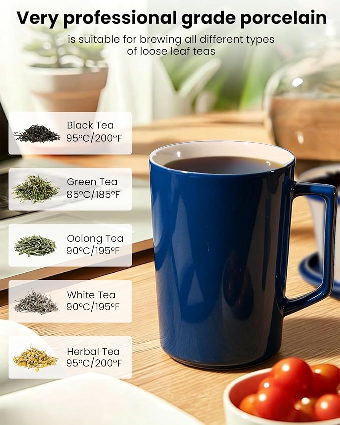15 OZ Porcelain Tea Infuser Cup with Lid,Ceramic Tea Mug with All-Porcelain Strainer for Loose Leaf Teas,Microwave and Dishwasher Safe Tea Mug,Metal-Free,BPA-Free for Tea Lovers (Navy Blue)