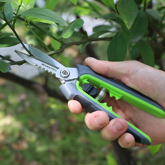 WORKPRO 8" Pruning Shears for Gardening, Multipurpose Garden Shears | Stainless Steel Blade with Sheath, Straight Pruning Scissors Garden Snips for Flowers, Fruits & Vegetables