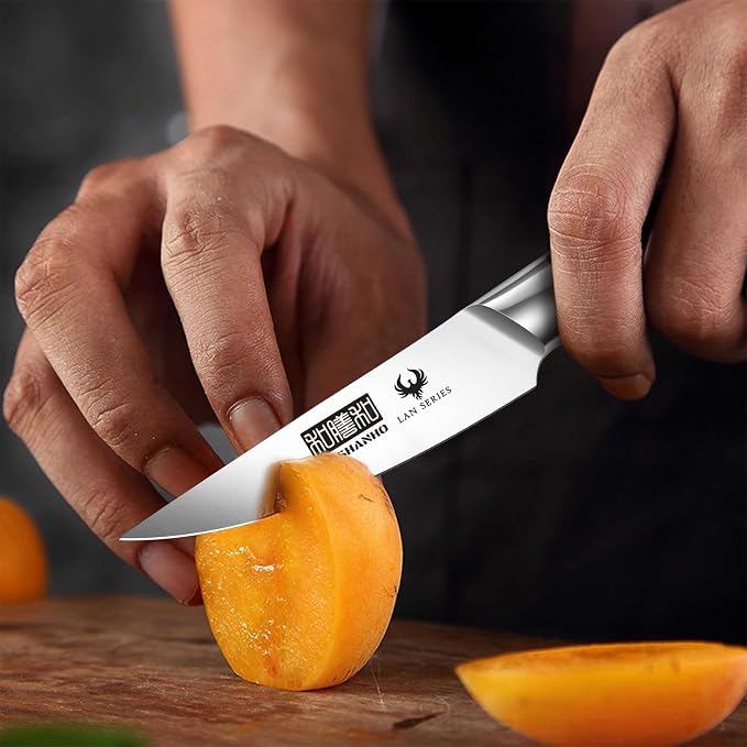 HOSHANHO 3PCS Kitchen Knife Set, Ultra Sharp Chef/Santoku/Paring Knives | Professional Japanese High Carbon Steel Cooking Knife Set with Ergonomic Wood Handle, Ideal Gift for Family and Restaurant