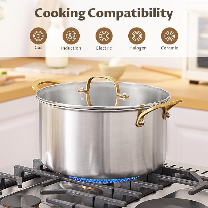 BEZIA 6 QT Stock Pot with Lid, Full Clad 3-Ply Stainless Steel Cooking Pot | Uncoated & Built to Last Induction Pot, for All Stovetops, for Daily Soups & Curries, Blanching & Boiling, Pasta & Dumplings