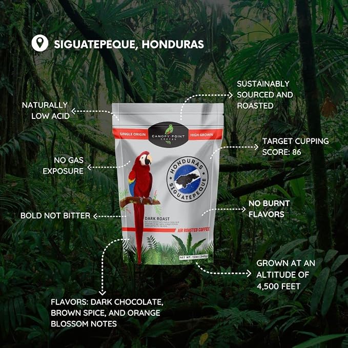 Canopy Point Coffee Honduras Dark Roast | Medium Ground Coffee for Pour Over, Coffee Pot, Siphon, Chemex, Refillable K-Cup | Arabica specialty small batch roasted to order with strong chocolate notes & aroma