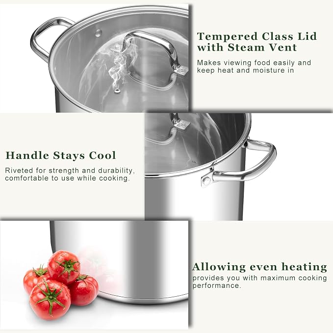 Leonyo 20 Quart Stainless Steel Cooking Pots, Large Stock Pot Cookware | Visible Lid & 3-Ply Base for All Stoves, Heat-conducting & Large