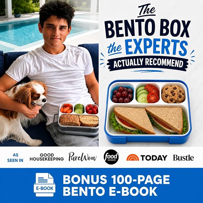 kinsho Bento Box for Kids Lunch-Boxes for Adults | Portion Snack Containers for Boys Toddlers Pre-School Daycare Work Lunches BPA Free | 4 Compartments, Gray Blue, 2 pack