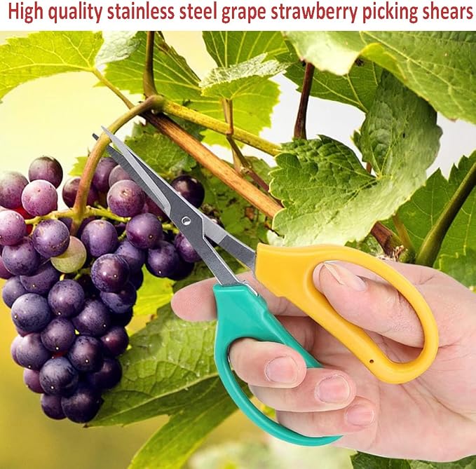Garden Scissors, Stainless Steel Garden Bonsai Pruning Shears, Anti-Slip Softgrip SnipGardening Tools Garden Shears for Plants Herb (Classic)