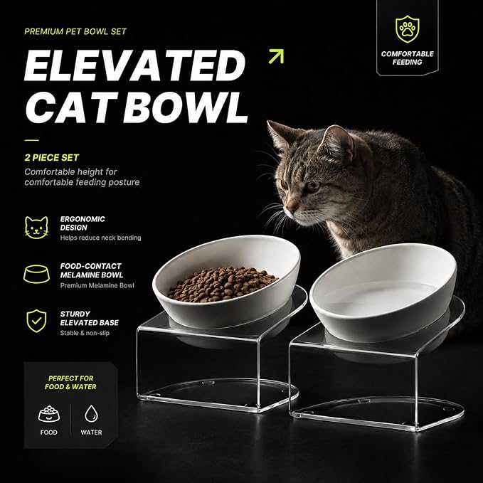 Elevated Cat Bowls, Tilted Melamine, White, 2 Pack | Two tilted melamine bowls support comfortable feeding for cats, kittens, flat-faced pets, and small dogs; white finish.