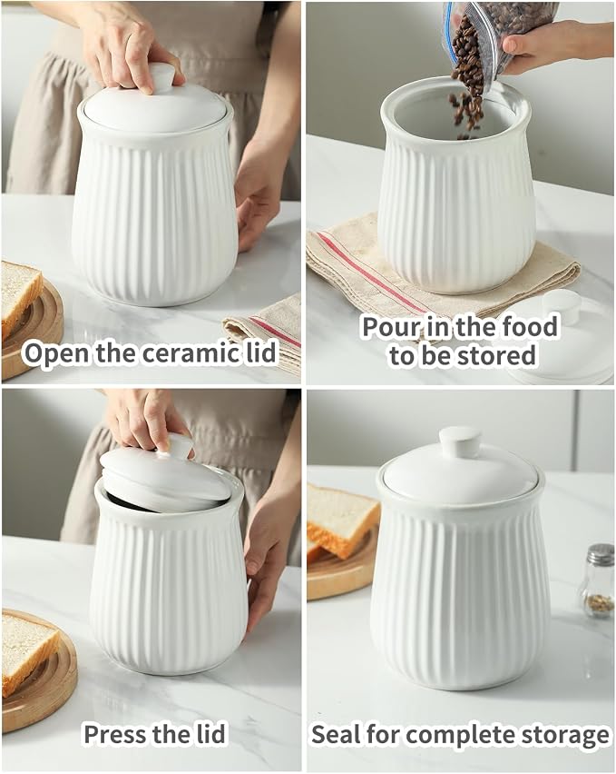 Hasense Food Storage Containers with Lids, 88 oz Ceramic Food Storage Jar, Airtight Cookie Candy Jar for Coffee Beans, Tea-leave, Sugar, Salt, Flour, Spice, Dog Treat Container, Microwaveable, White
