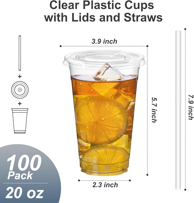 Dealusy 100 Pack - 20 oz Clear Plastic Cups with Lids and Straws | Sturdy & Food Safe Iced Coffee Cups with lids, Disposable Plastic Smoothie Cups for Cold Drinks