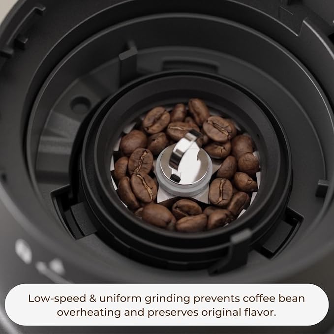 Conical Burr Coffee Grinder with 60 Settings and Touch Screen | 1-60s Timer & 1-8 Cup Dosing, Anti-Static, Removable Ring & Cone Burrs for Easy Cleaning, Low Noise for Home Use, Black