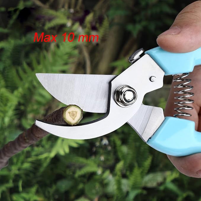 Curve Gardening Scissor with Sharp Stainless Steel Blade Garden Shears for Cutting Flowers Trimming Plants of Yard Florist Flower Rose Herb Hedge Bonsai and Fruits Picking (Red Handle)