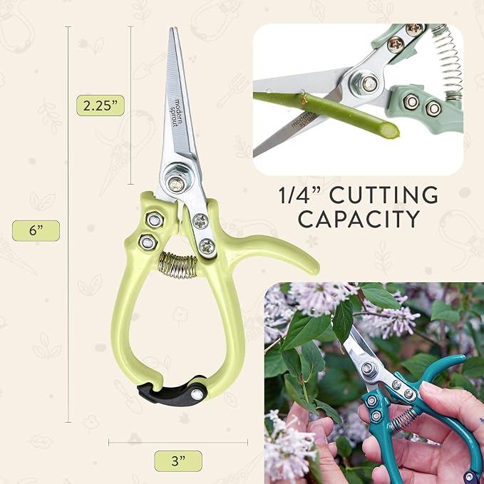 Modern Sprout Pruning Shears- Garden Snips-Herb Scissors- Chartreuse 1-Pack | Lightweight Gardening Tool - Durable Carbon Steel Blade W/Easy-Lock - Gardening Supplies - Flower Cutter - Reusable Holster