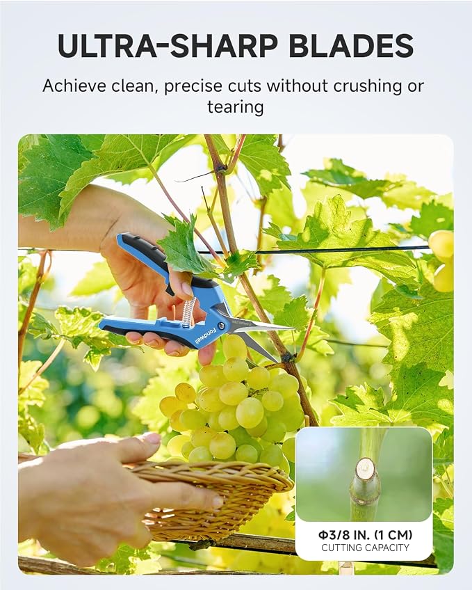 Fondwell 6.5" Gardening Scissors Trimming Shears: 2 Pack of Trimming Scissors for Buds - Comfortable Hand Pruners with Curved Blades | 2-Pack Plant Snips, Ultra-Sharp Micro-Tip Curved Blades, Comfortable Use, Safety - Best for Precision Cuts in Tight S...